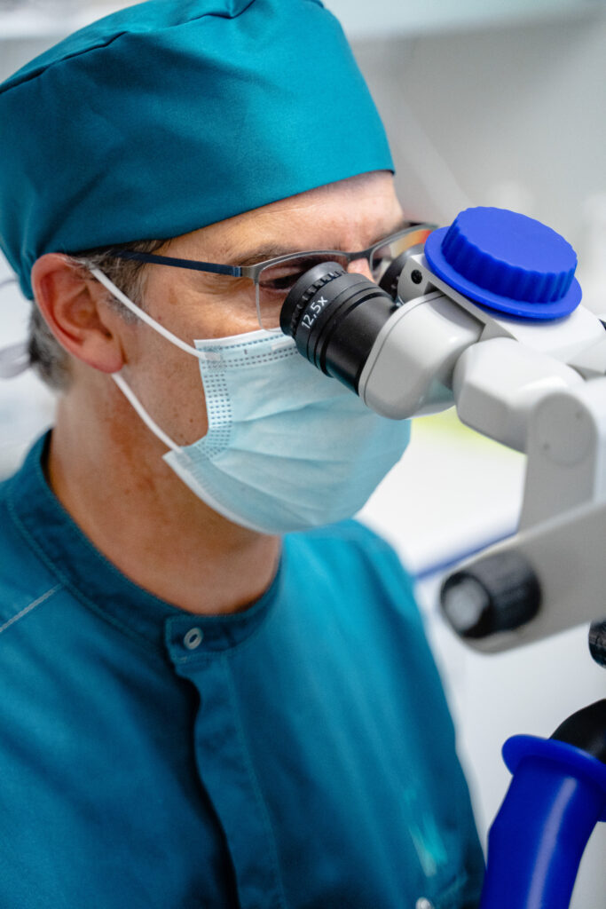 Endodonzia in microscopia